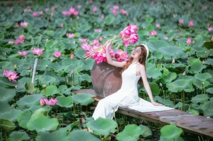 ベトナムの蓮花